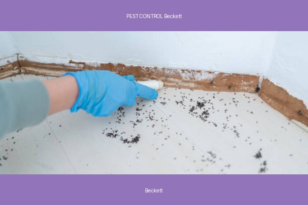 PEST CONTROL Beckett